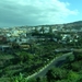 Tenerife.(dec.2011) 204 (Medium)