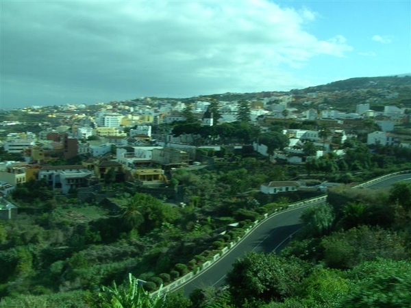 Tenerife.(dec.2011) 204 (Medium)