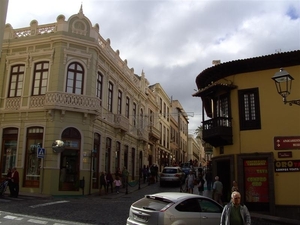 Tenerife.(dec.2011) 265 (Medium)