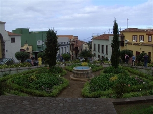 Tenerife.(dec.2011) 289 (Medium)