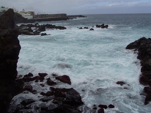 Tenerife.(dec.2011) 313 (Medium)