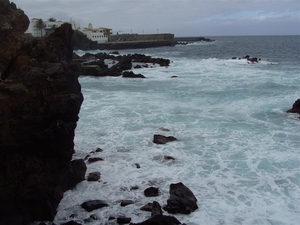 Tenerife.(dec.2011) 314 (Medium)