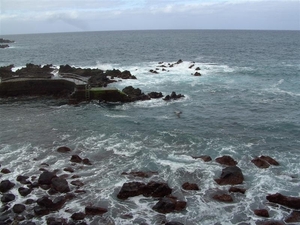 Tenerife.(dec.2011) 318 (Medium)