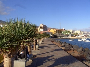Tenerife.(dec.2011) 329 (Medium)