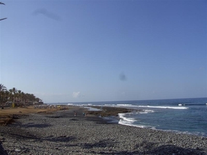 Tenerife.(dec.2011) 339 (Medium)