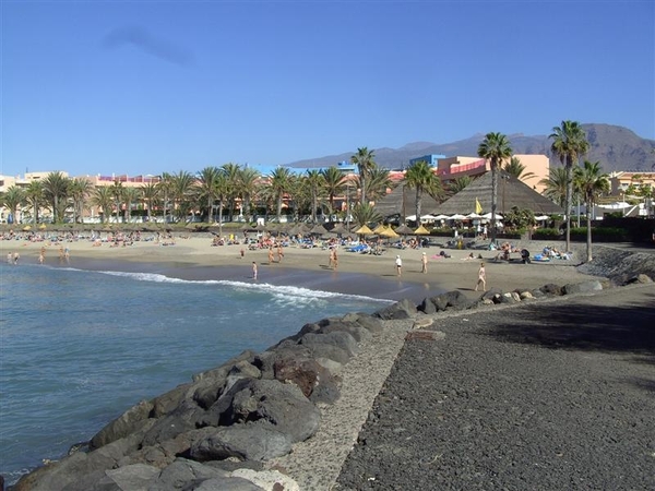 Tenerife.(dec.2011) 342 (Medium)