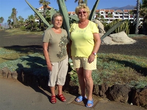 Tenerife.(dec.2011) 367 (Medium)