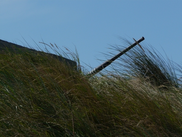 Raversijde  3-8-2009 (11)