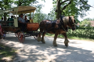 bokrijk 004