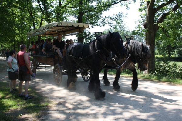 bokrijk 005