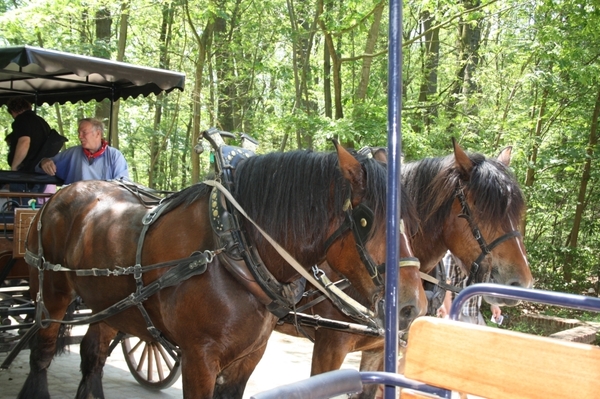 bokrijk 015