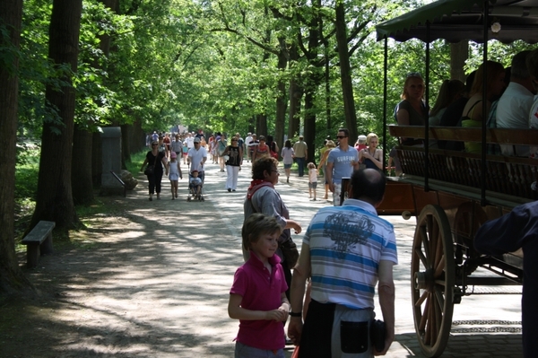 bokrijk 018