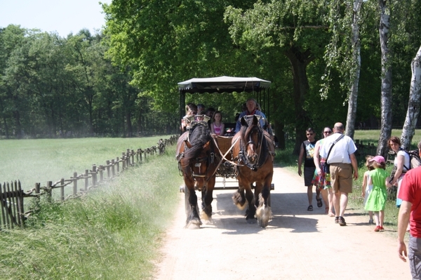 bokrijk 021