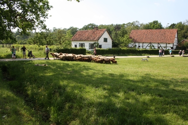 bokrijk 053