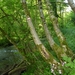 2012-05-28 Houyet-Anseremme (Verkenning GR) 006