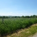 2012-05-28 Houyet-Anseremme (Verkenning GR) 019