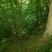 2012-05-28 Houyet-Anseremme (Verkenning GR) 045