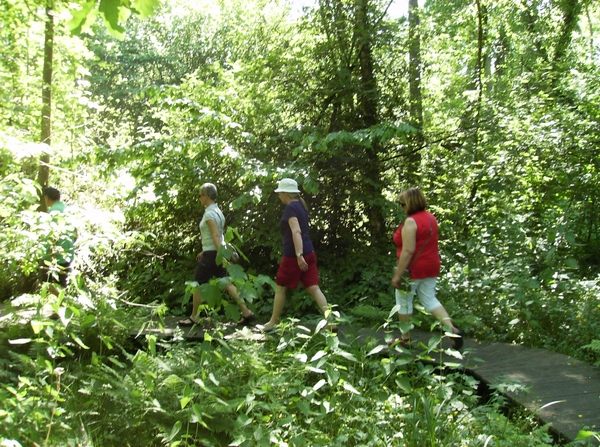 Limburg Mei 2012 021