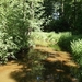 Limburg Mei 2012 022