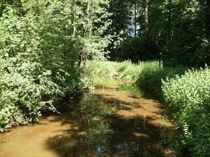 Limburg Mei 2012 022