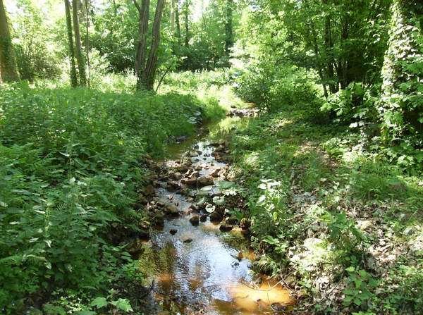 Limburg Mei 2012 023