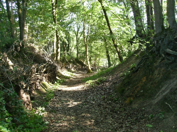 Limburg Mei 2012 035