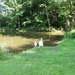 Limburg Mei 2012 037