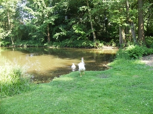 Limburg Mei 2012 037