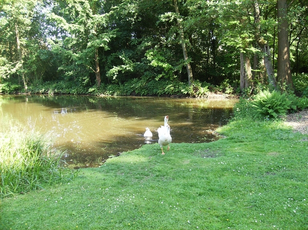 Limburg Mei 2012 037