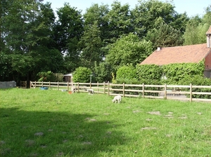 Limburg Mei 2012 043