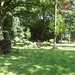 Limburg Mei 2012 059