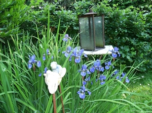 Limburg Mei 2012 084