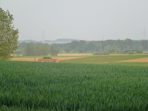 2012-05-29 Asse-Ter-heide 006