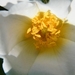2012_05_28 Philippeville 014