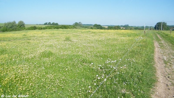 marche Adeps wandeling Philippeville Wallonie