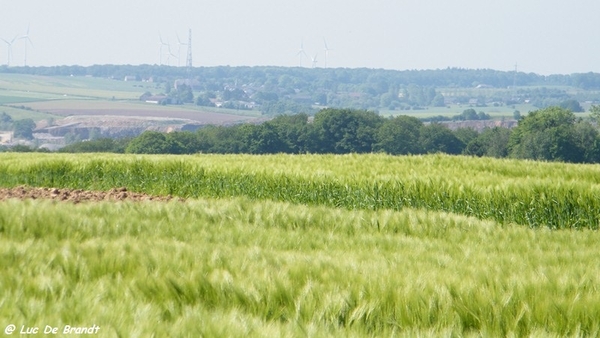 marche Adeps wandeling Philippeville Wallonie