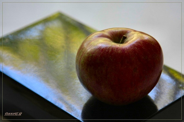 sized_Afbeelding 077