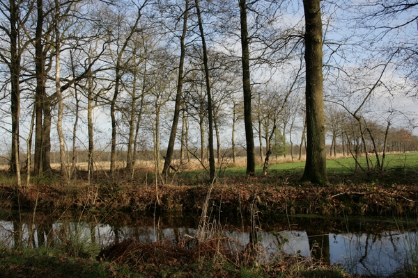 Kopie van jenever en spek 2012 020