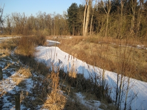 IMG_1147