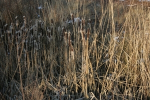 antwerpen februari 2012 001