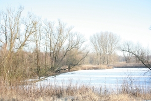 antwerpen februari 2012 003