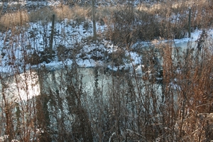 antwerpen februari 2012 004