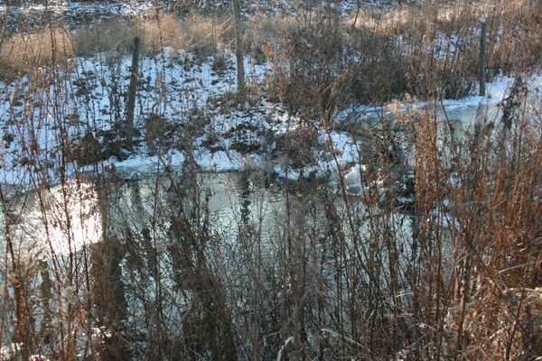 antwerpen februari 2012 004