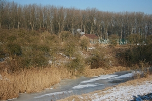 antwerpen februari 2012 006