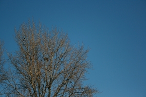 antwerpen februari 2012 017