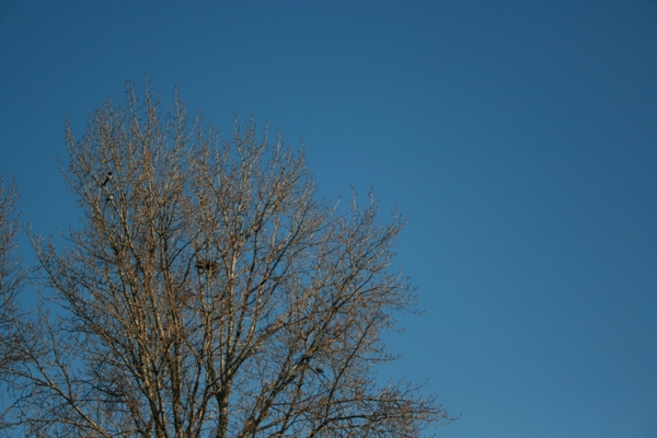 antwerpen februari 2012 017