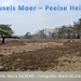 Reusels Moer - Peelse Heide