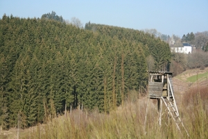 bevers maart 2012 005