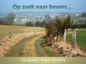 Op zoek naar bevers....