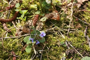 1 APRIL 2012 021